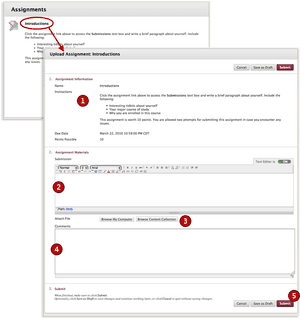 Submitting An Assignmnet - Submit On Blackboard, HD Png Download PNG image with transparent background
