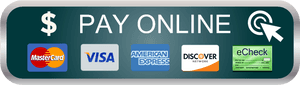 Payment Button - American Express, HD Png Download PNG image with transparent background