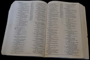 Open Bible Psalms Text PNG image with transparent background