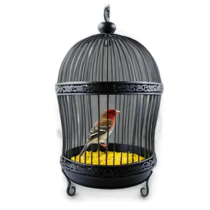 Open Bird Cage Png Vex25 PNG Image