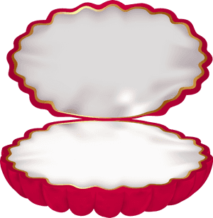 Transparent Clam Shell Png , Png Download - Transparent Clam Shell Png, Png Download PNG with transparent background
