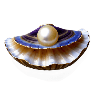 Open Clam with Pearl PNG 05242024 PNG image with transparent background