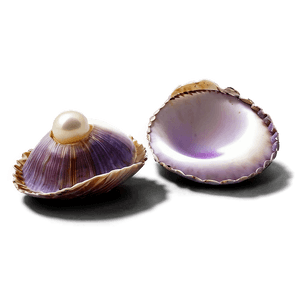 Open Clam with Pearl PNG beo37 PNG image with transparent background