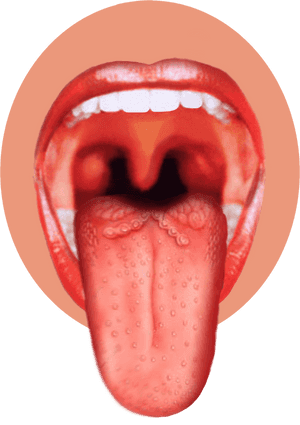 Tongue Png - Human Tongue Png, Transparent Png PNG image with transparent background