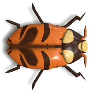 Orange Black Ladybug Illustration PNG Image