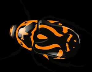 Orange Black Patterned Bug PNG image with transparent background