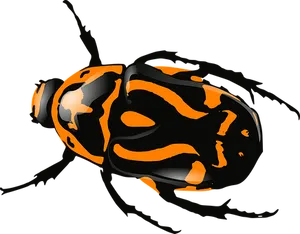 Orange Black Patterned Bug PNG Image