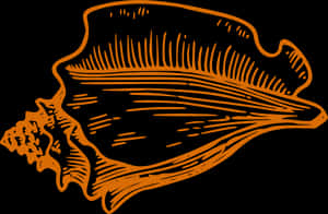 Orange Black Sea Shell Illustration PNG image with transparent background