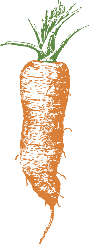 Orange Carrot Illustration.png PNG image with transparent background