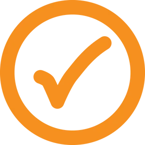 Orange Checkmark Icon PNG Image