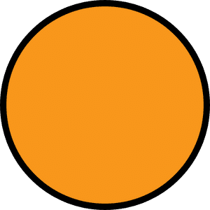 Orange Circle With Black Outline - Circle, HD Png Download PNG image with transparent background