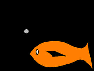Orange Fish Black Background PNG image with transparent background