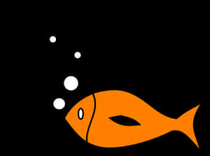 Orange Fish Black Background PNG image with transparent background