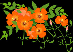Orange Floral Vine Illustration PNG