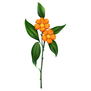 Orange Flower Png 70 PNG Image