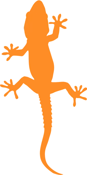 Orange Gecko Silhouette PNG Image