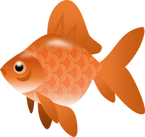 Fish,illustration - Fish Clip Art Transparent, HD Png Download PNG image with transparent background