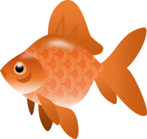 Orange Goldfish Illustration PNG Image