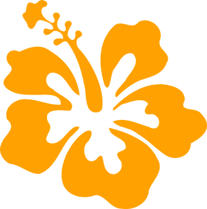 Orange Hibiscus Silhouette PNG image with transparent background