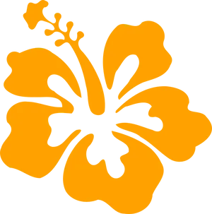 Orange Hibiscus Silhouette PNG Image