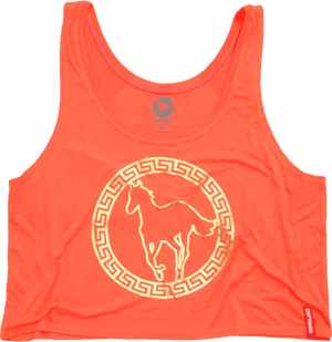 Circle Pony Women's Orange Crop Top - Deftones Crop Top, HD Png Download PNG image with transparent background