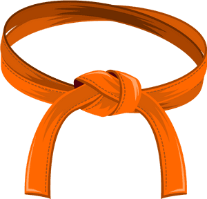 Orange-belt - Soo Bahk Do Orange Belt, HD Png Download PNG image with transparent background