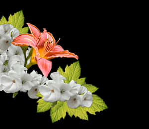 Orange Lily White Flowers Arrangement PNG image with transparent background