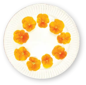 Orange Morning Glory Flowerson Plate PNG Image