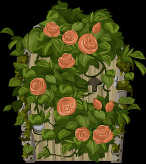 Orange Roseson Garden Fence Illustration PNG image with transparent background