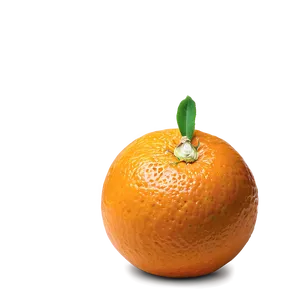 Orange Segment Png Kla36 PNG Image