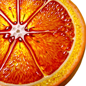 Orange Slice PNG 06252024 PNG