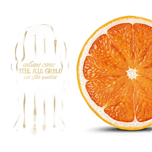Orange Slice PNG 89 PNG