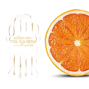 Orange Slice Png 89 PNG Image