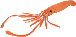 Douglas Cuddle Toys Squid, HD Png Download PNG