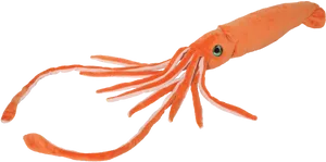 Orange Squid Plush Toy PNG Image