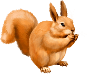 Orange Squirrel Eating Nut PNG image with transparent background