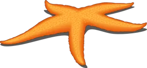 Orange Starfish Clipart PNG Image