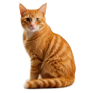 Orange Tabby Cat Transparent Igi PNG Image