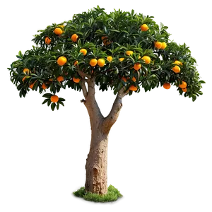 Orange Tree Orchard Png Faj70 PNG Image