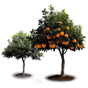 Orange Tree Silhouette Png 06132024 PNG Image