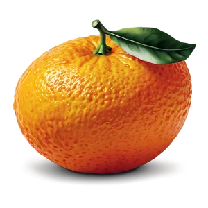 Oranges Illustration Png Stw4 PNG Image