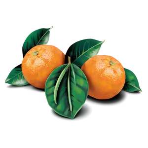 Oranges Illustration Png Xxc PNG Image