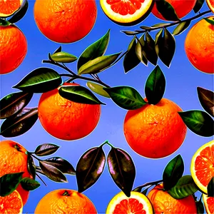 Oranges In Nature Png Eya PNG Image