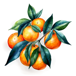 Oranges Watercolor Png Qhi16 PNG Image