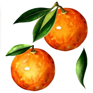 Oranges Watercolor Png Yns PNG Image