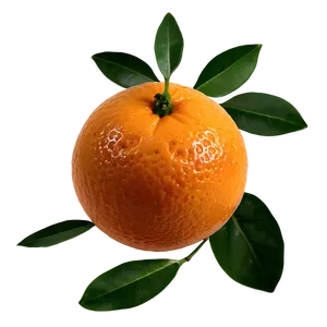 Oranges With Leaves Png 31 PNG Image