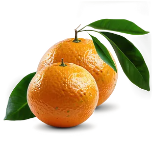 Oranges With Leaves Png Nwc45 PNG Image