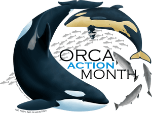 Southern Resident Orca Body, HD Png Download PNG image with transparent background