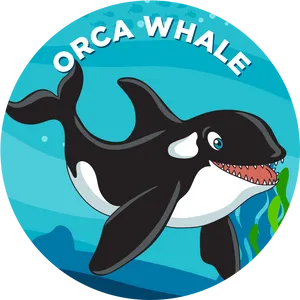 Orca Cartoon Illustration PNG Image