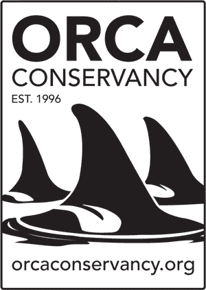 Available, HD Png Download PNG image with transparent background